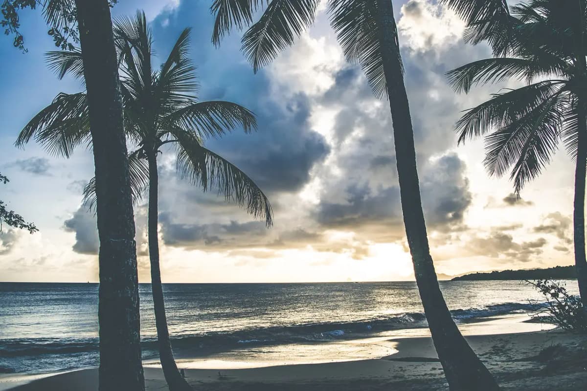 Coucher de soleil sur la plage des Salines, en Martinique.