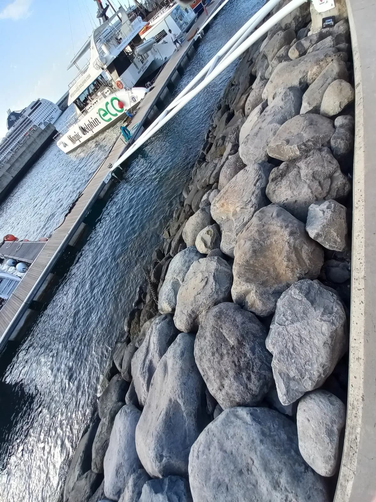 Le MSC Opera en arrière-plan, derrière un catamaran, à Funchal (Madère).