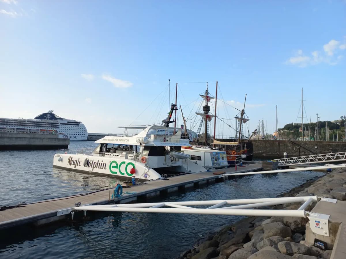 Le MSC Opera en arrière-plan, derrière un catamaran, à Funchal (Madère).